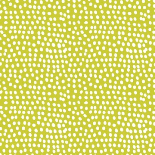 Dashwood Studio - Flurry