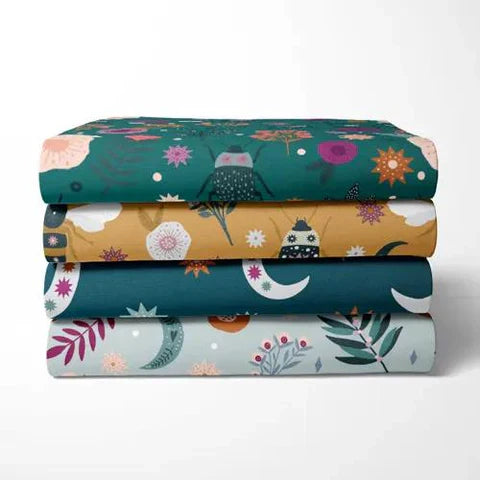 Dashwood Studio - Night & Day