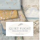 Quiet Flight - NEW!
