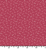 BD 26 04 03 Keys - Watermelon