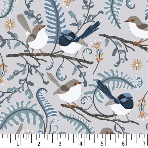 PH0602 Blue Wren Delight
