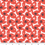 PH0711 Dog Bone Dreams