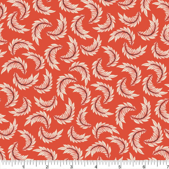 PH0593 Feathers