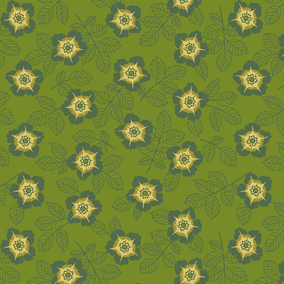 ON2401-02 - Buttercup - Forest Green