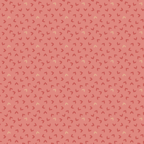 ON2405-03 Lemon Cake - Coral Pink