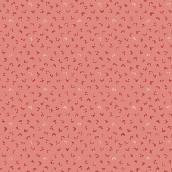 ON2405-03 Lemon Cake - Coral Pink