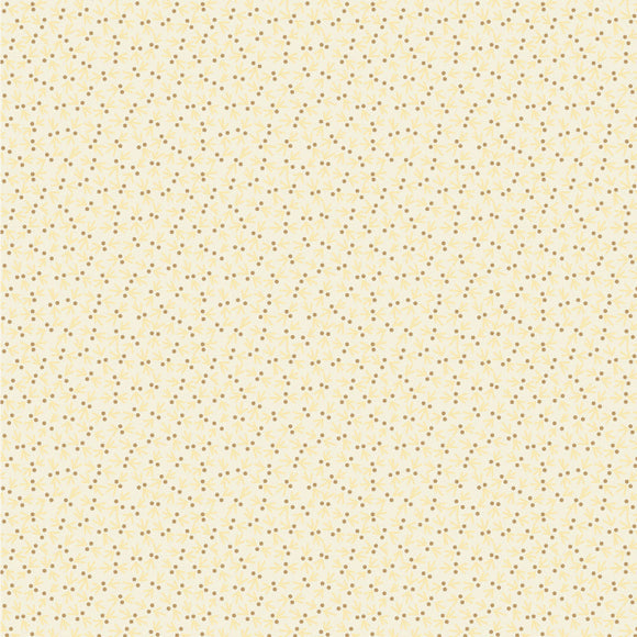 SOT 25 11 01 Snowbird - Cotton