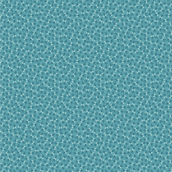 SOT 25 11 02 Snowbird - Fountain Blue
