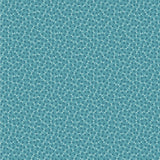 SOT 25 11 02 Snowbird - Fountain Blue