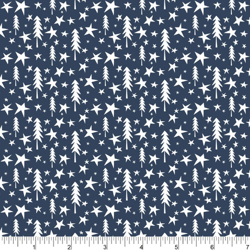 PH0701 Wish Upon A Star