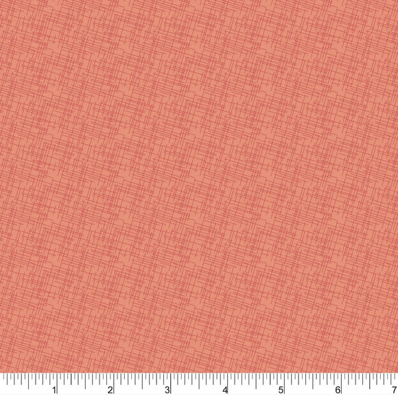 Phoebe Fabrics - Bright Poms PH0476 - Cross Hatch