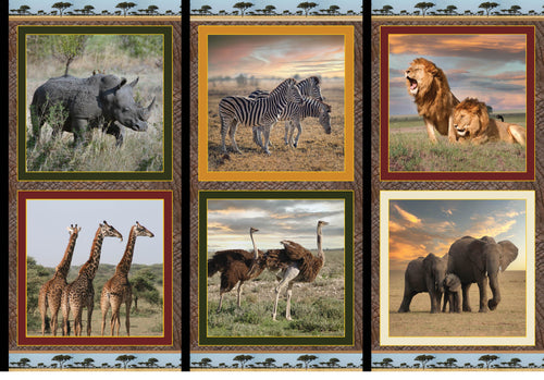 African Safari by  Kennard & Kennard Designs