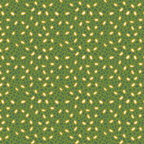 FP221-001