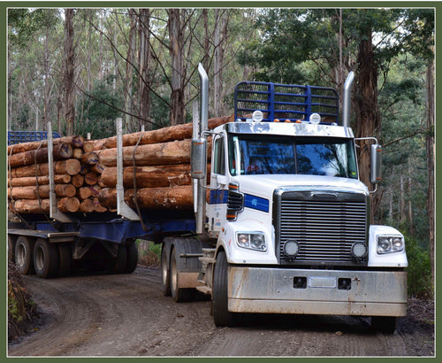 Road trains by  Kennard & Kennard Designs