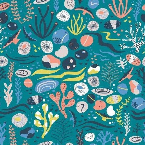 Rock Pool by Rosalind Maroney  for Dashwood Studio