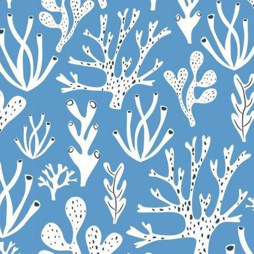 Rock Pool by Rosalind Maroney  for Dashwood Studio