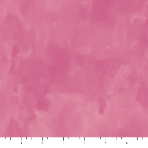 PH0167 Raspberry Color Wash